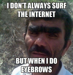 I-dont-always-surf-the-internet-but-when-i-do-eyebrows