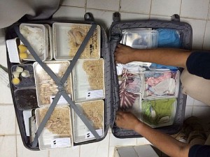 Turkish Food smuggling